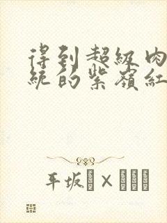 得到超级肉禽系统的紫岭红山