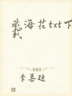 藏海花txt下载