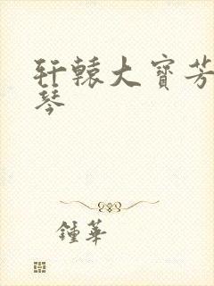 轩辕大宝芳菲雅琴