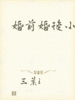 婚前婚后小说
