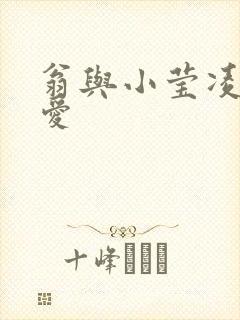 翁与小莹凌晨欢爱