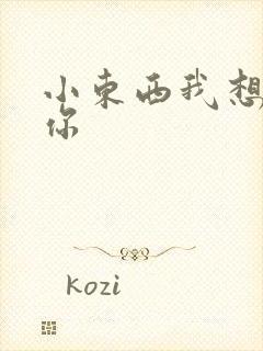 小东西我想弄坏你