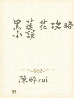 黑莲花攻略手册小说