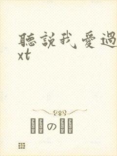 听说我爱过你txt