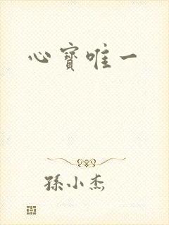 心宝唯一