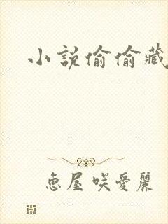 小说偷偷藏不住