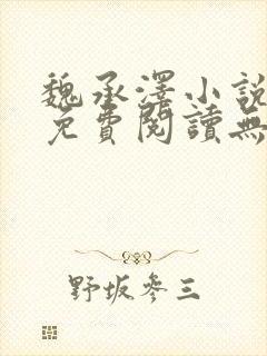 魏承泽小说全文免费阅读无弹窗笔趣