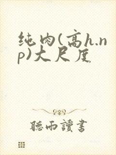 纯肉(高h.np)大尺度