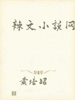 辣文小说网