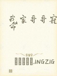 我家哥哥宠妹如命