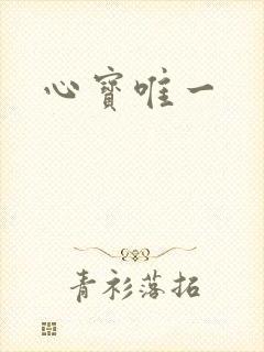 心宝唯一
