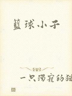 篮球小子