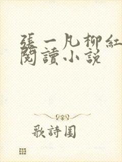 张一凡柳红免费阅读小说