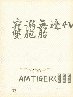 宠溺无边4V2双胞胎