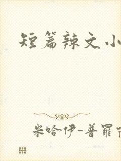 短篇辣文小说