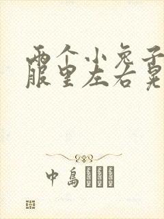 两个小兔子在衣服里左右晃