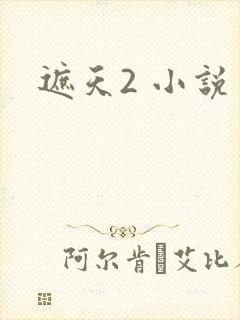 遮天2 小说