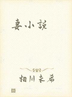 妻小说