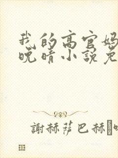 我的高官妈妈苏晚晴小说免费阅读