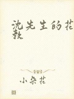 沈先生的花式管教