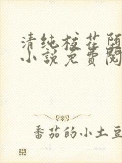 清纯校花堕落记小说免费阅读