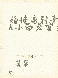 婚后脔到青梅哭h小白兔宫交h