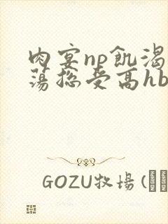 肉宴np饥渴放荡总受高hbl