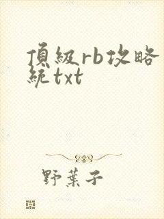 顶级rb攻略系统txt