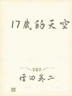 17岁的天空