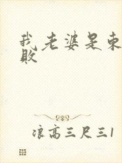 我老婆是东方不败