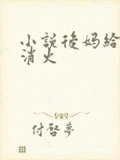 小说后妈给我消消火