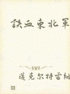 铁血东北军