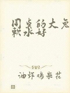 同桌的大兔子好软水好