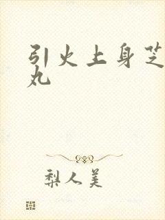 引火上身芝麻糖丸