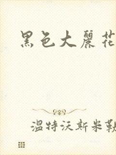 黑色大丽花图片
