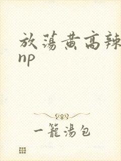 放荡黄高辣h文np