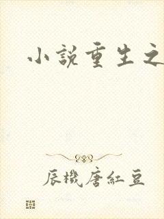 小说重生之官道