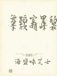 舞蹈室里的景色李欣赵峰最新章节