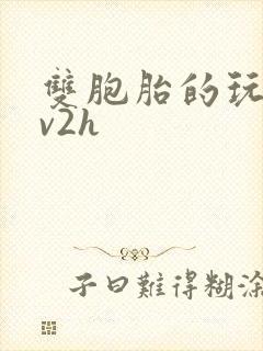 双胞胎的玩具1v2h