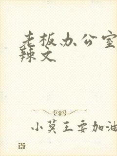 老板办公室系列辣文