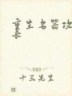 重生名器攻略兄长