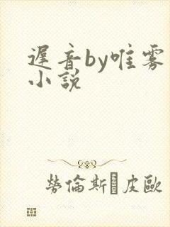 迟音by唯雾的小说