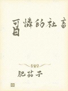 可怜的社畜东度日