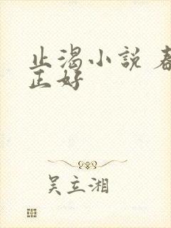 止渴小说 春光正好