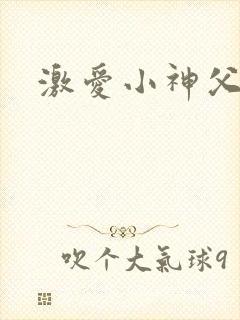 激爱小神父