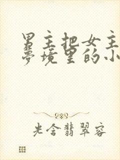 男主把女主拖进梦境里的小说