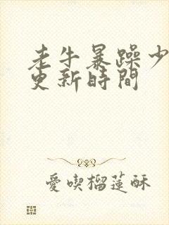 老牛暴躁少女的更新时间