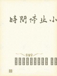 时间停止小说
