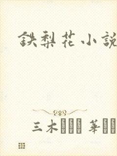 铁梨花小说