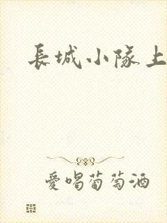 长城小队上中下